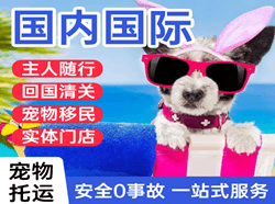 乌兰察布集宁航空邮寄国际宠物托运 【国